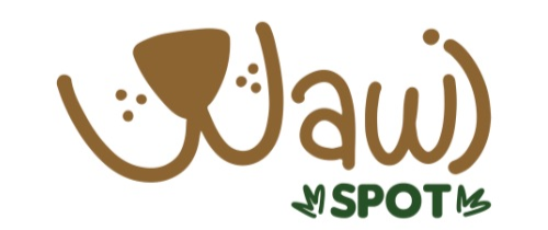 Wawi Spot Logo